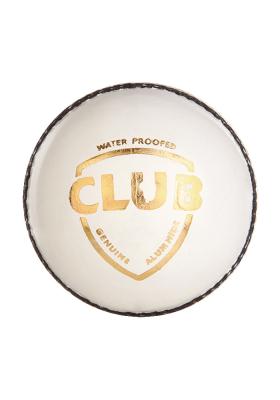 Citystore.in, Sports Accessories, SG Club White Cricket Ball Leather, SG