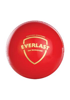 Citystore.in, Sports Accessories, SG Everlast Cricket Ball Synthetic, SG